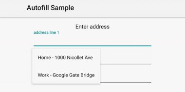 آموزش کار با Autofill کروم برای تکمیل خودکار فیلد ها در کامپیوتر ، اندروید و..