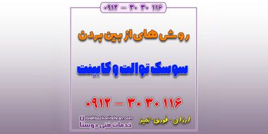 روش های از بین بردن سوسک توالت و کابینت