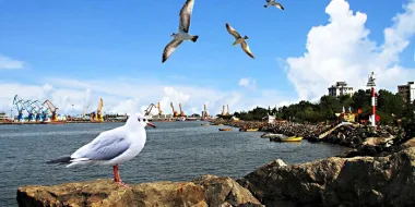 در انزلی از کجا خرید کنیم؟