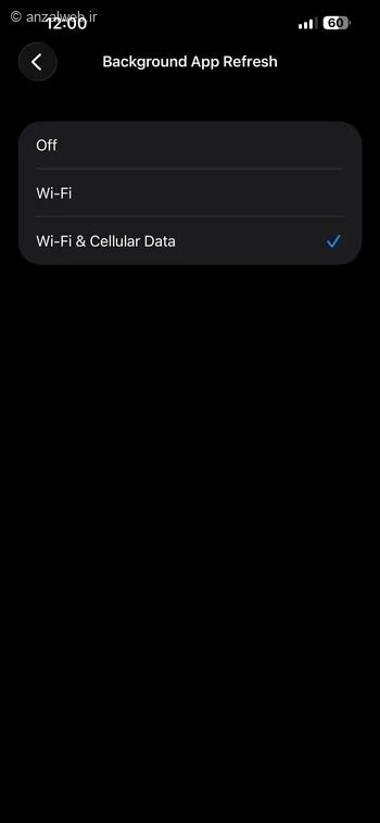 گزینه Wi-Fi & Cellular Data