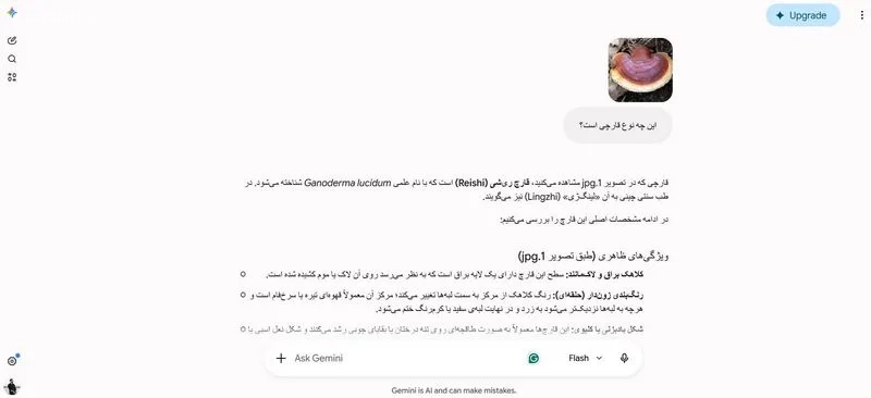 استفاده از هوش مصنوعی جمینی، جی پی تی و..