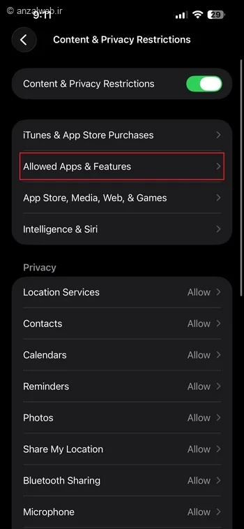 بخش Allowed Apps