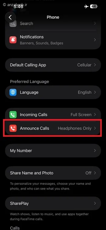گزینه Announce Calls