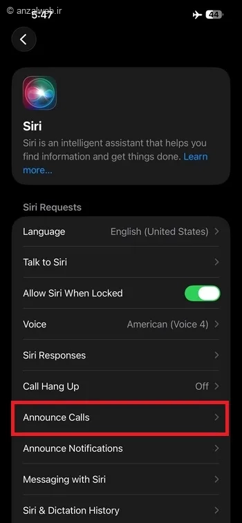 گزینه Announce Calls