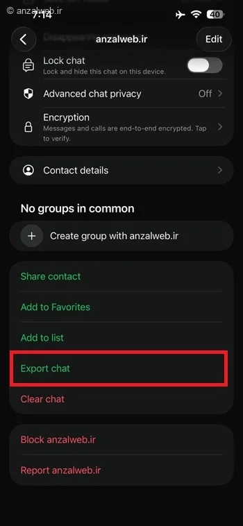 انتخاب خروجی گرفتن از صفحه چت