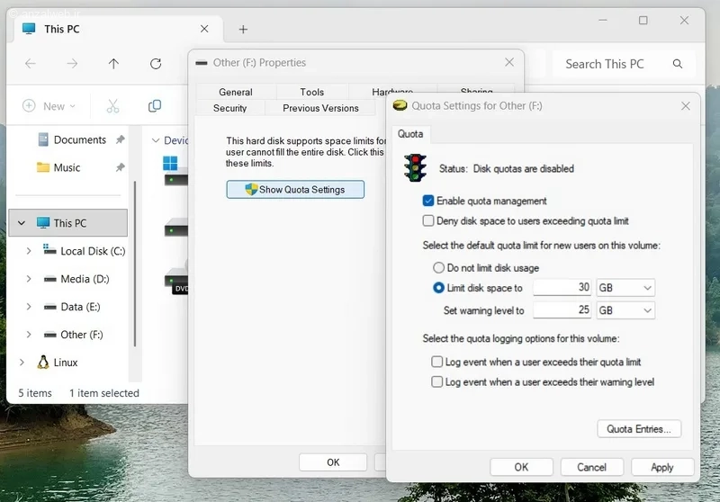 پنجره Quota Settings