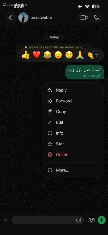 آموزش حذف گفتگو در واتساپ برای طرف مقابل در گوشی های آیفون