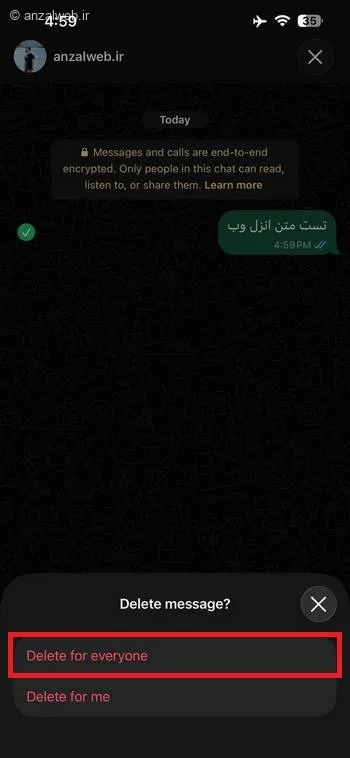 گزینه Delete for Everyone