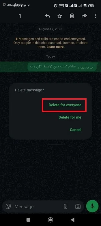 گزینه Delete for Everyone